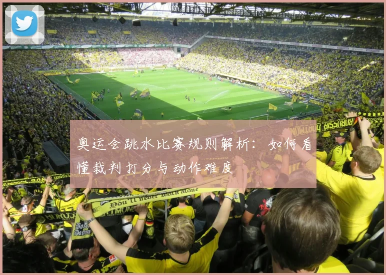 奥运会跳水比赛规则解析：如何看懂裁判打分与动作难度