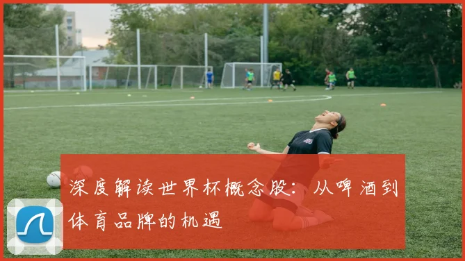 深度解读世界杯概念股：从啤酒到体育品牌的机遇