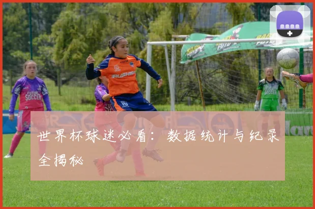 世界杯球迷必看：数据统计与纪录全揭秘
