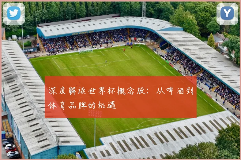 深度解读世界杯概念股：从啤酒到体育品牌的机遇